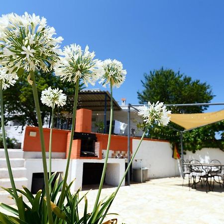 Villetta Panoramica Ostuni Eksteriør billede